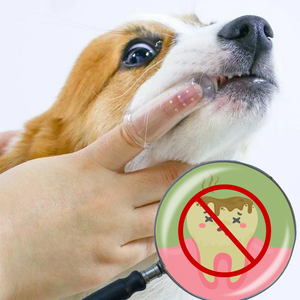 Escova De Dente Para Cachorro Dedeira